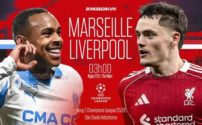 Đá gà trực tiếp tại hi8823 bet
